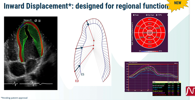 Changes in left ventricular global and regional longitudinal stra