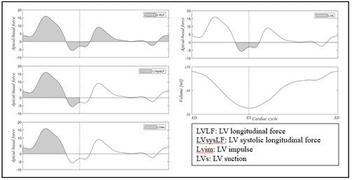 LV Strain - medisimaging