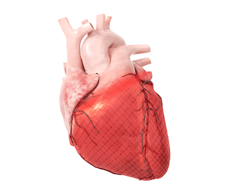 3d Beating Heart GIF