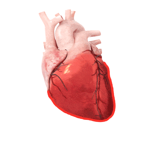gif-shape-heart - medisimaging